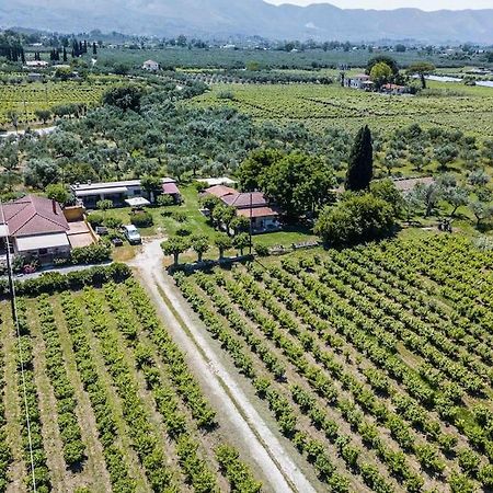 Authentic Country House In Zakynthos Ambelokipoi  Bagian luar foto