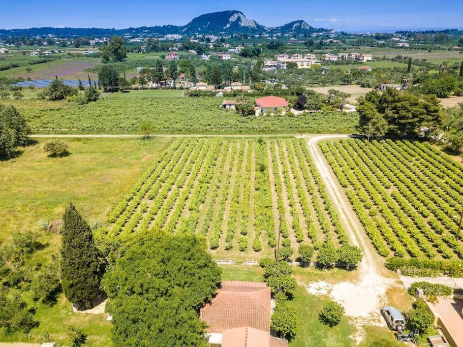Authentic Country House In Zakynthos Ambelokipoi  Bagian luar foto