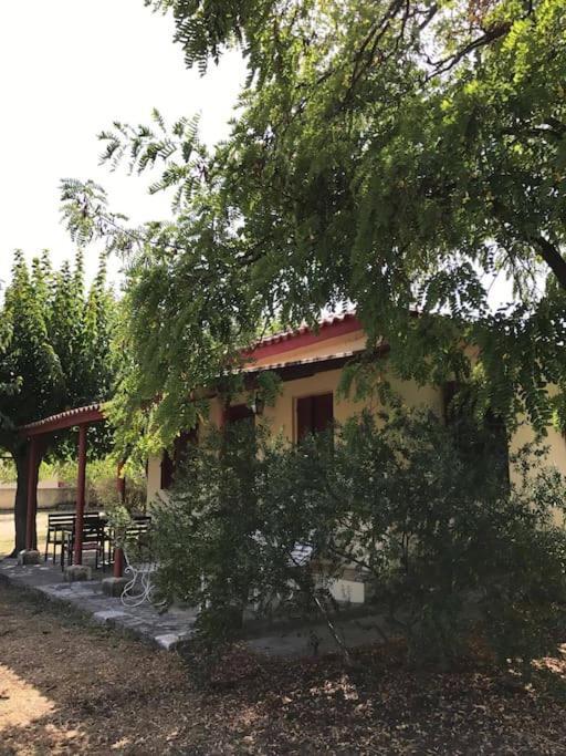 Authentic Country House In Zakynthos Ambelokipoi  Bagian luar foto
