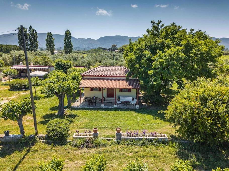 Authentic Country House In Zakynthos Ambelokipoi  Bagian luar foto