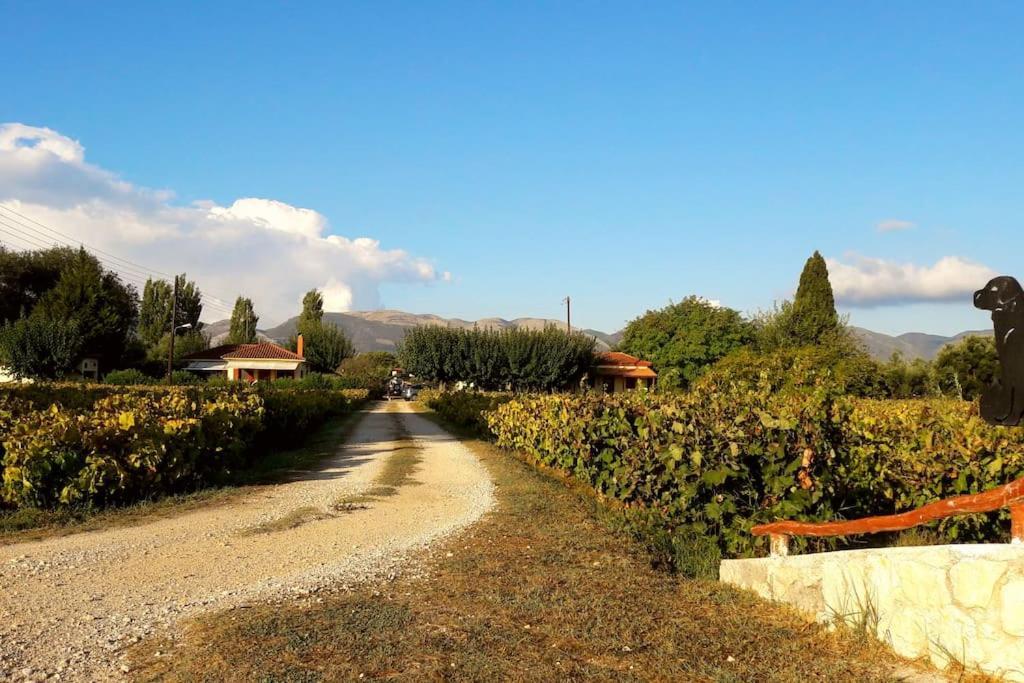 Authentic Country House In Zakynthos Ambelokipoi  Bagian luar foto